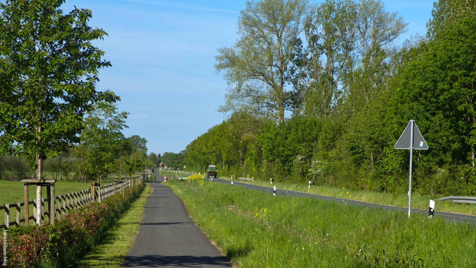 long narrow walking path next to a street, green bushes and trees on the right side