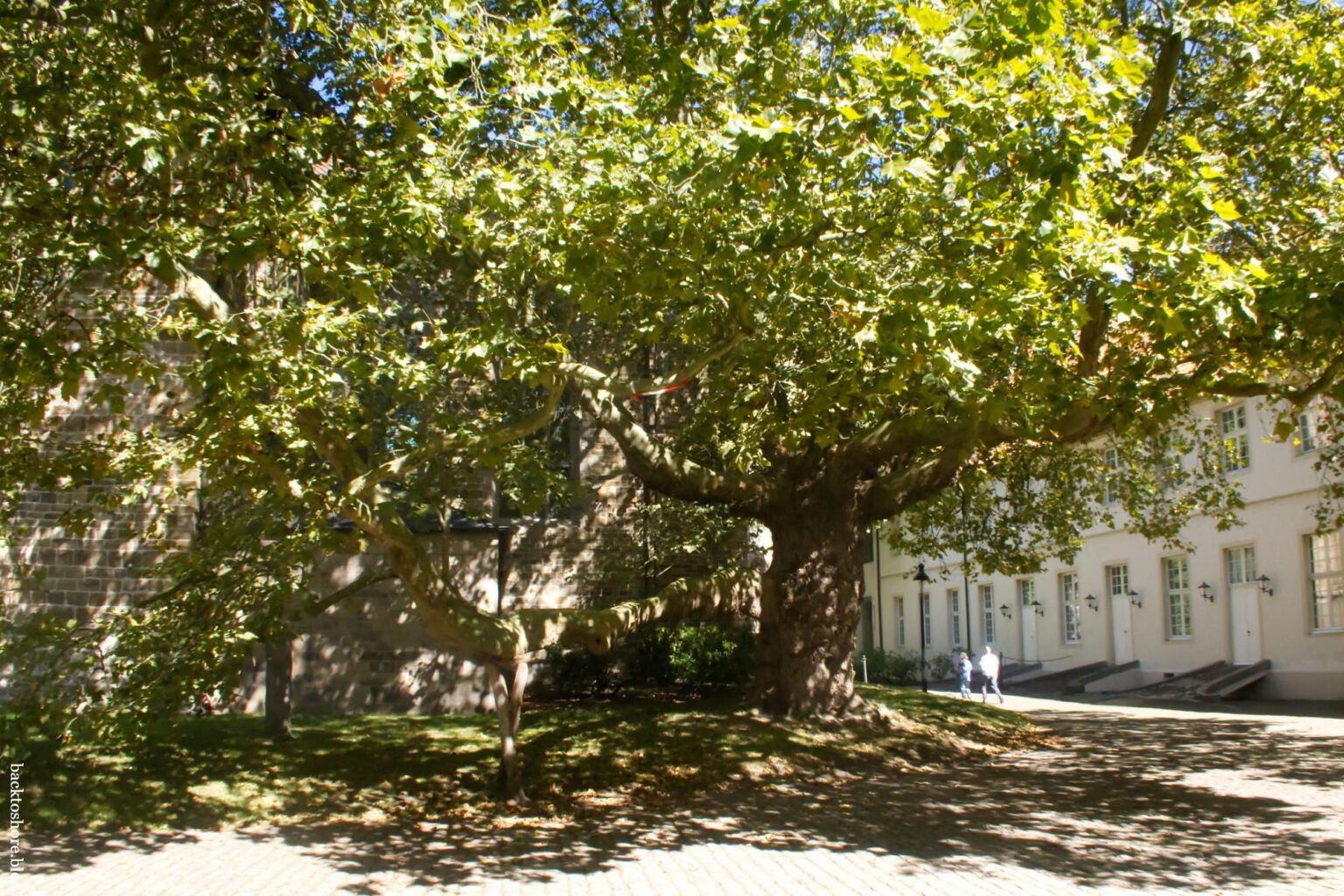 Yard at Cappenberg Castle