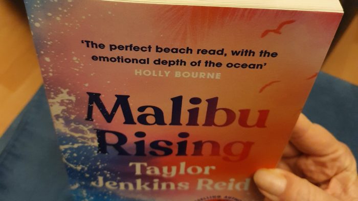 Malibu Rising, novel