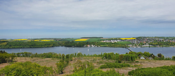 View from the Tower