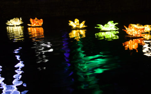 Illuminated Water Lillies, Dortmund, December 2022