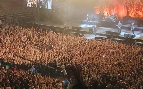 Pit at the Toten Hosen Earthquake Relief gig