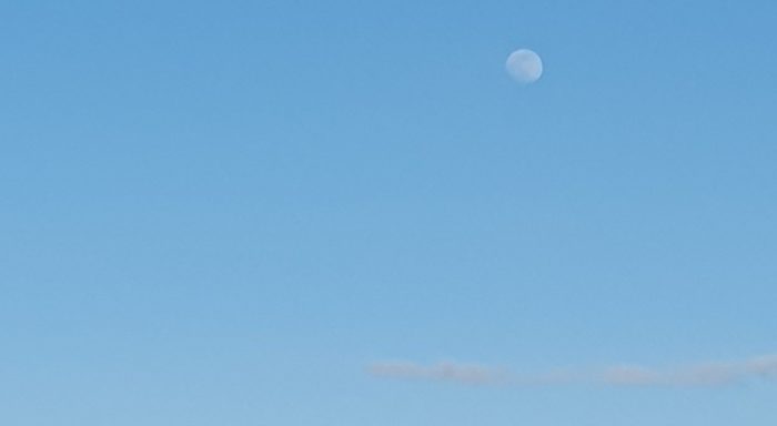 Moon in the late afternoon sky