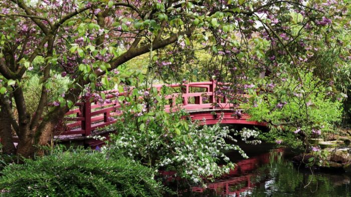 Japanese Garden, April 2023