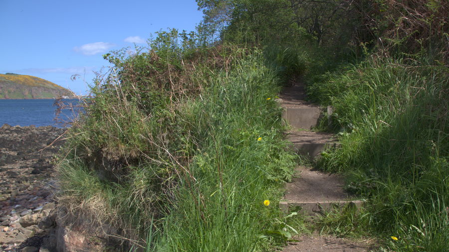 Up the steps