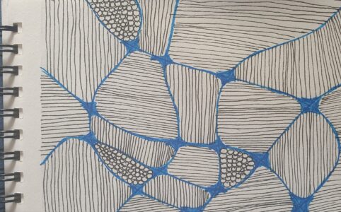 Zentangle: rectangle square of paper, divided by blue lines. the sections are filled with lines or bubbles