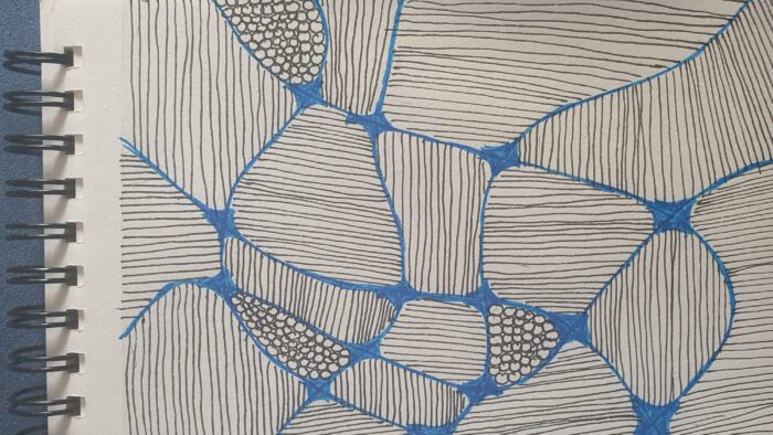 Zentangle: rectangle square of paper, divided by blue lines. the sections are filled with lines or bubbles