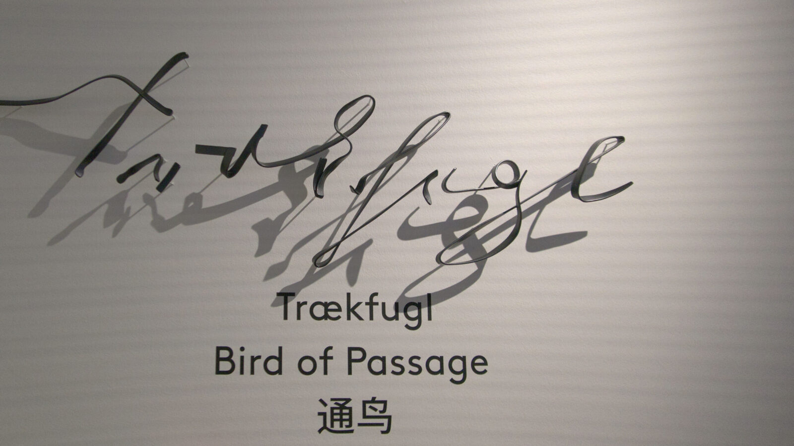Beautifully crafted medal sculpture spelling out Traekfugl. This word and Bird of Passage and a chinese sign is shown below it