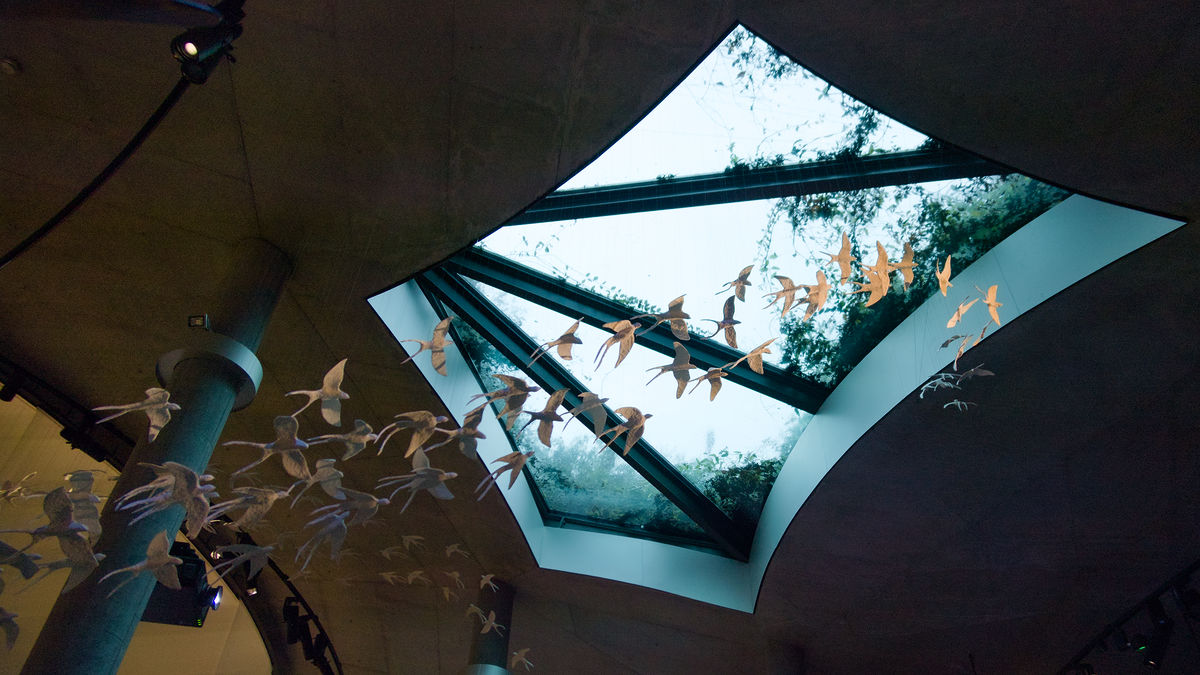 Model birds taking flight inside the museum