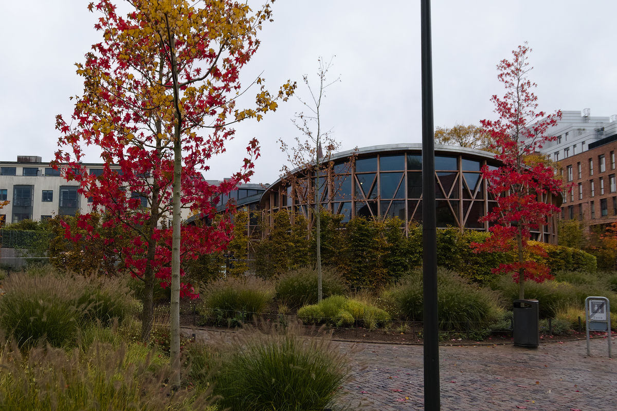 a circular building with lots of glass and wood, part of the Andersen Museum in Odense. A few trees with mostly red coloured leaves in the foreground.