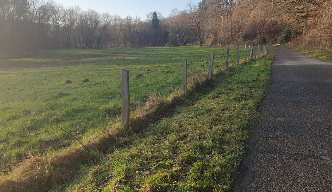 Fenced in meadow on the right, with a path on the right. Barren trees in the background