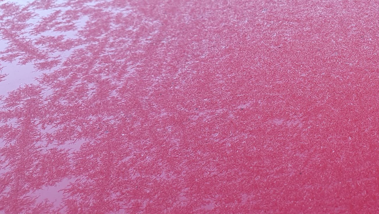 frozen over car roof