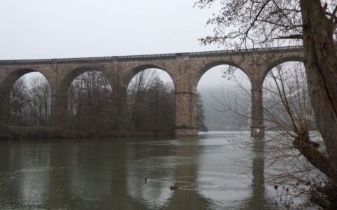 Photo of a viaduct over a river/lake, a barren tree on the right side of the photo