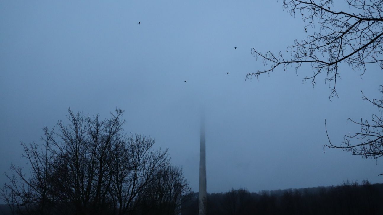 Photo of a small chimney with it's top in a cloud, birds circling around it. A barren bush in the left corner, some barren branches on the right
