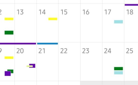 Screenshot of a calendar week 7 and 8 with various times blocked out in colour codes