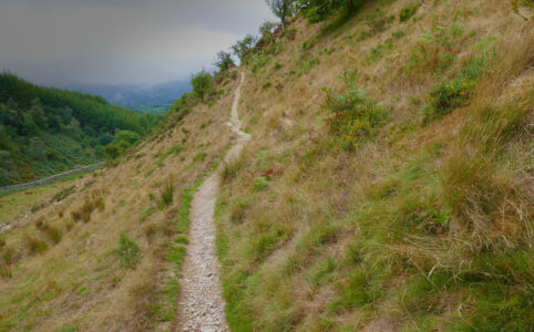 Photo from a narrow path on a hillside in Wales