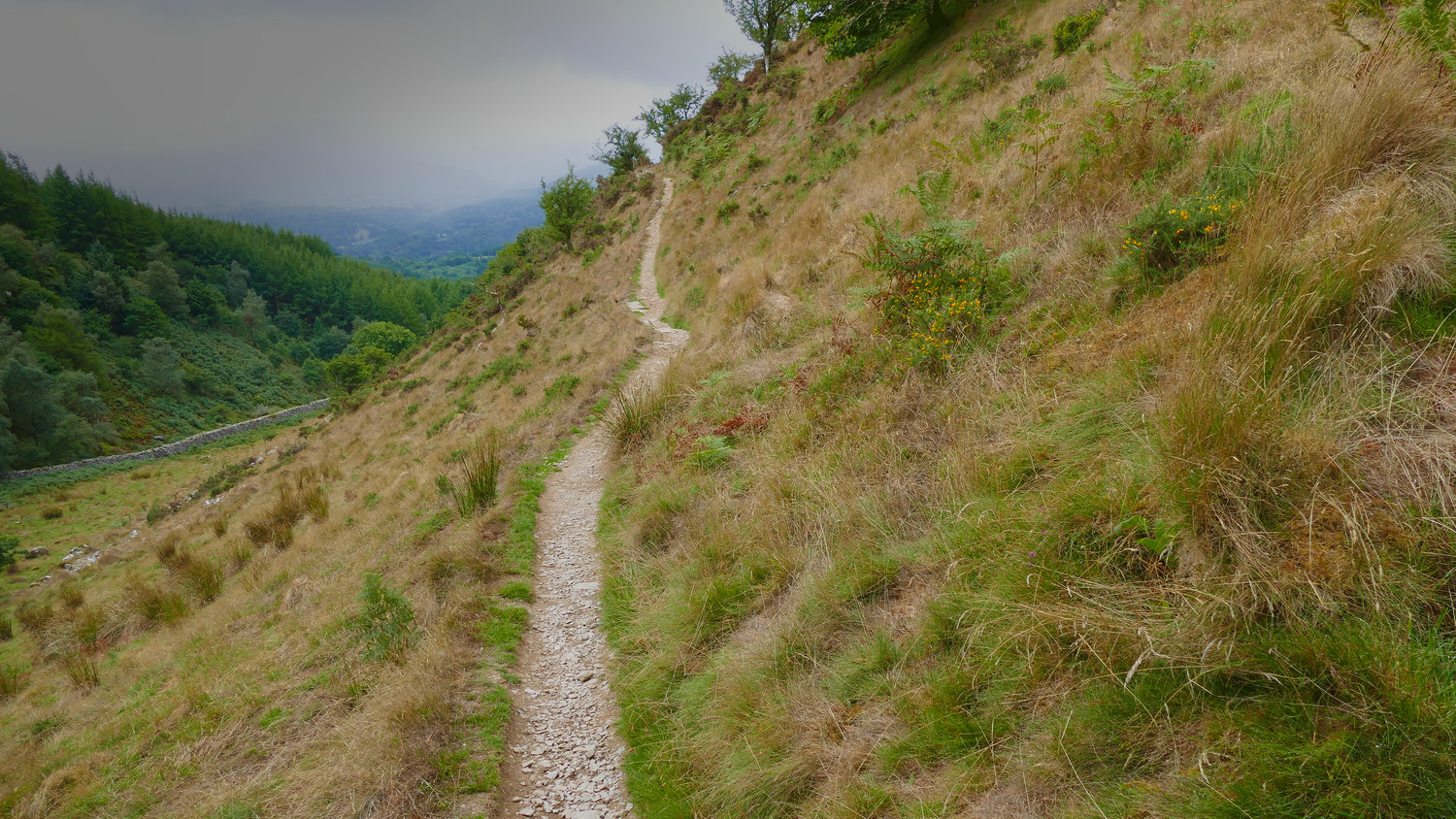 Photo from a narrow path on a hillside in Wales