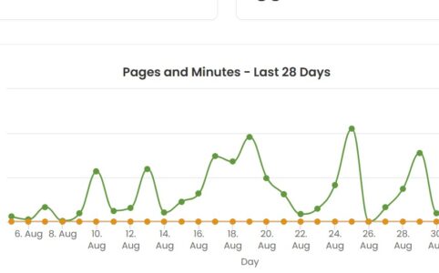 Screenshot of my Pages Read Graph for August