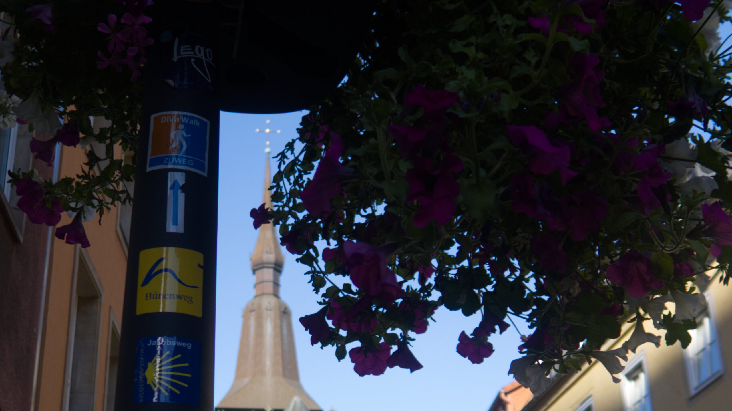 Lots of markers for various routes on a lamppost, flowers in a flowerpot above