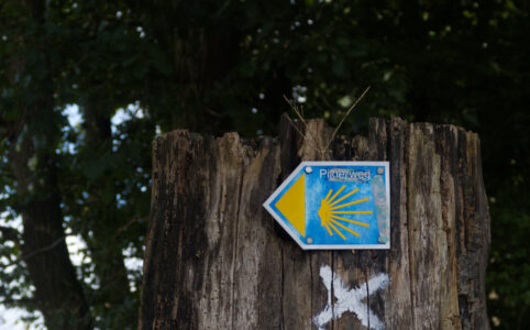 Another Pilgrim's Way Marker on a tree stump