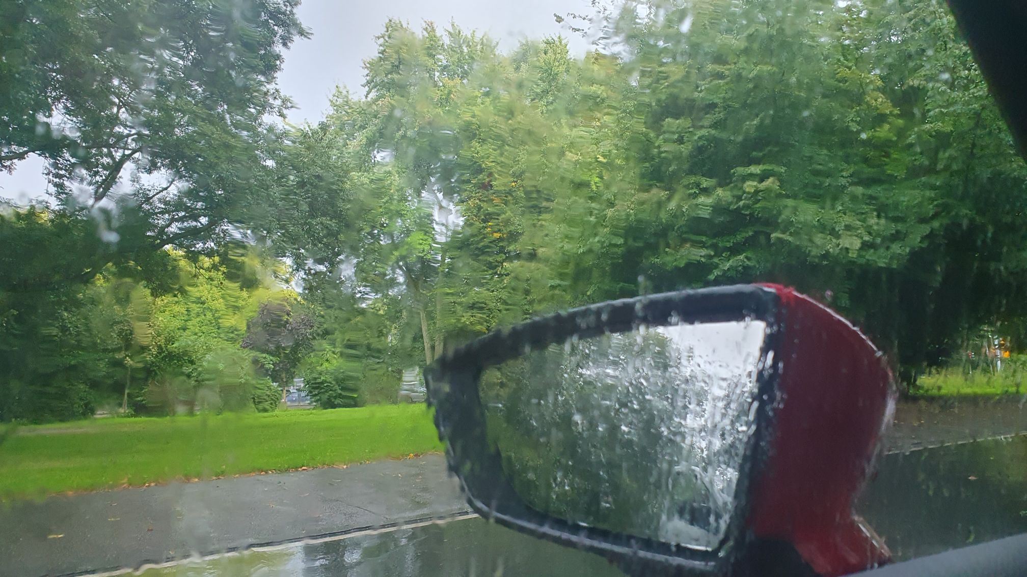 Rainy day view out of the driver side car window, trees in the backgroud