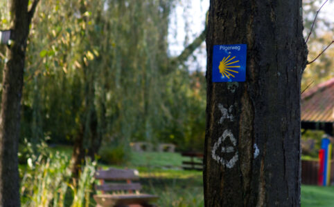 Way marker on a tree