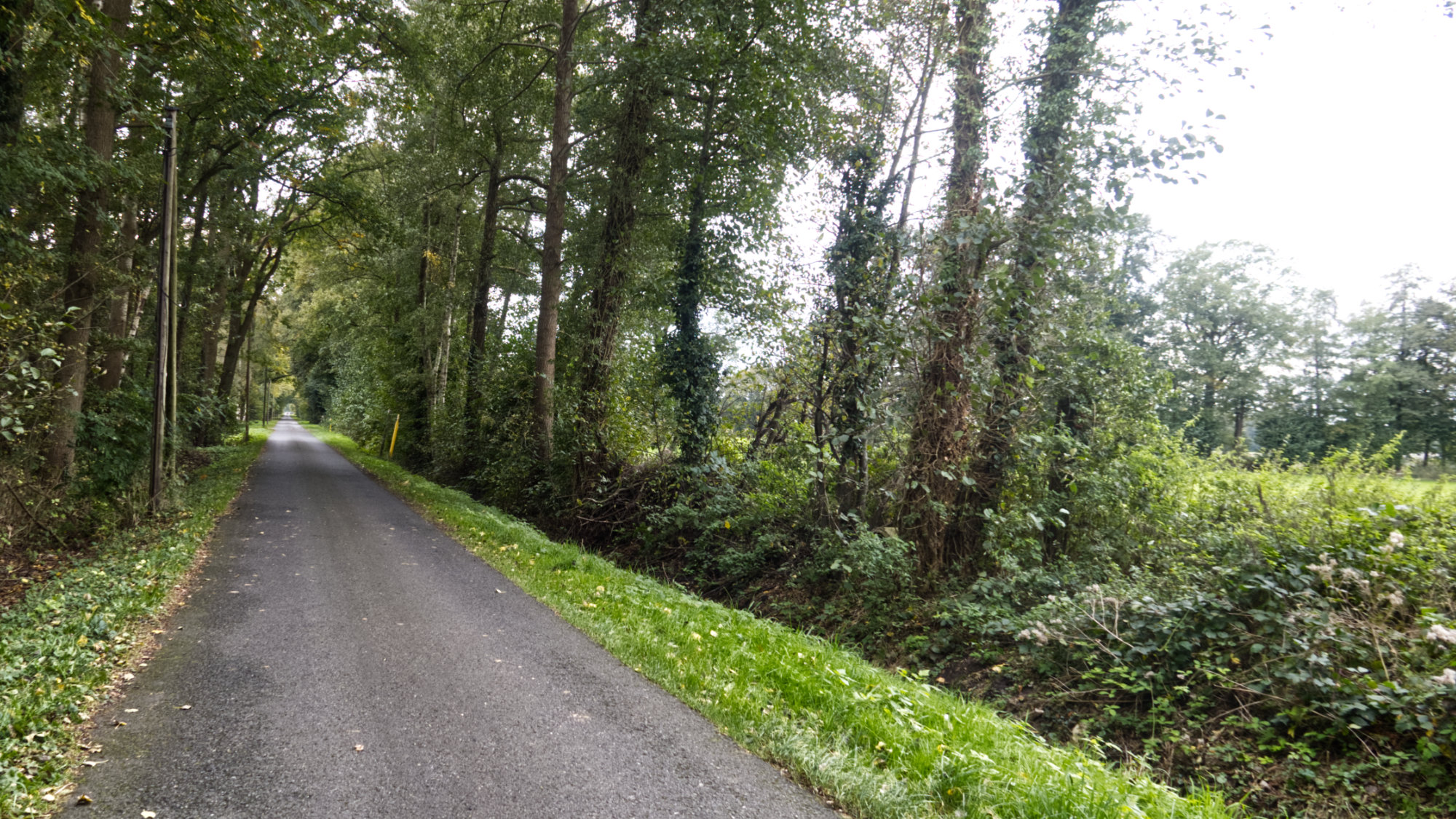 Long stretch of a narrow road