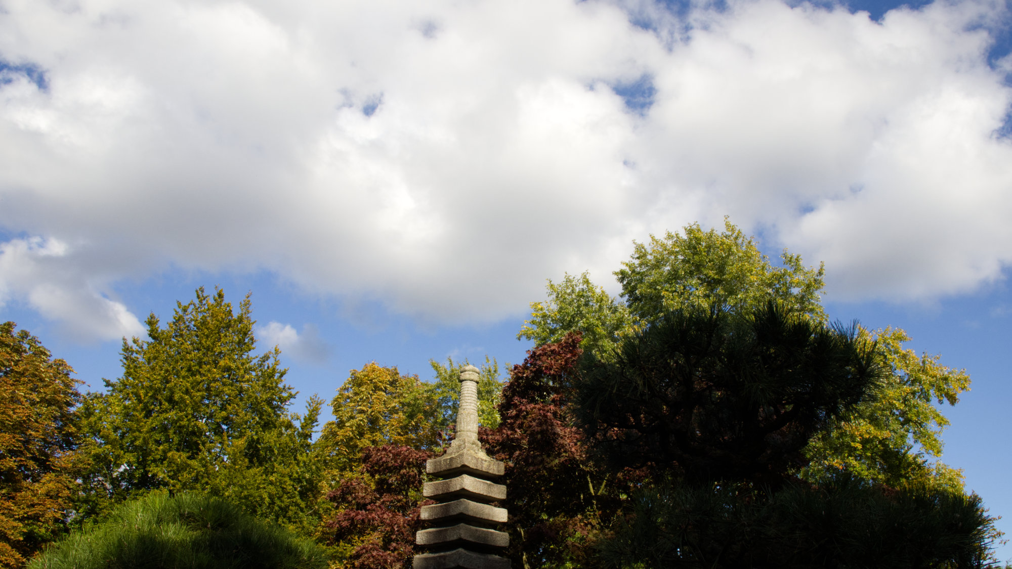 Japanese Garden Bonn