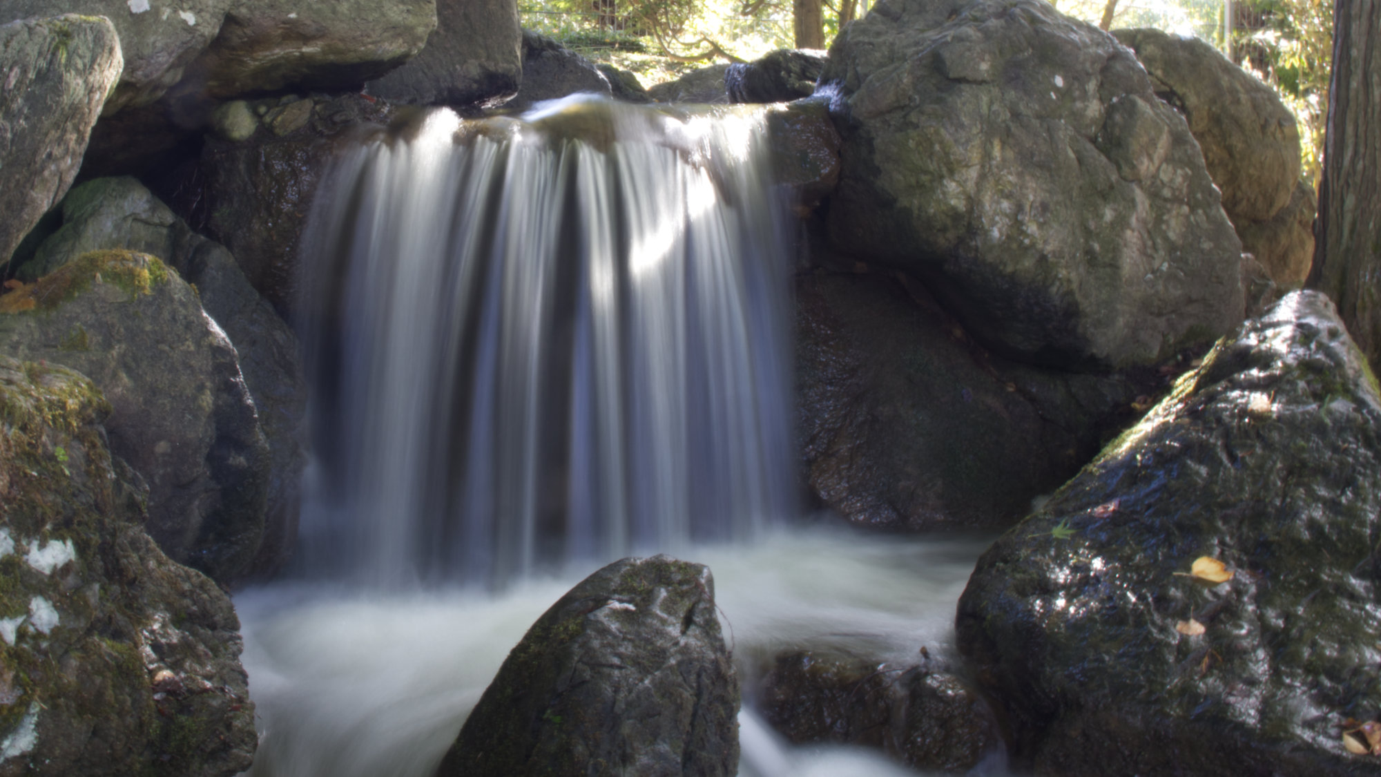 Mini Waterfall in the Japense Garden