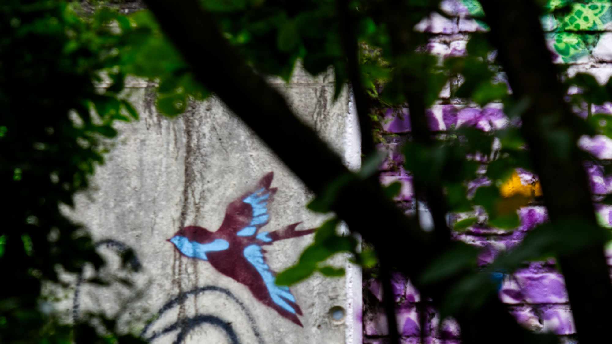 stenciled bird on a wall