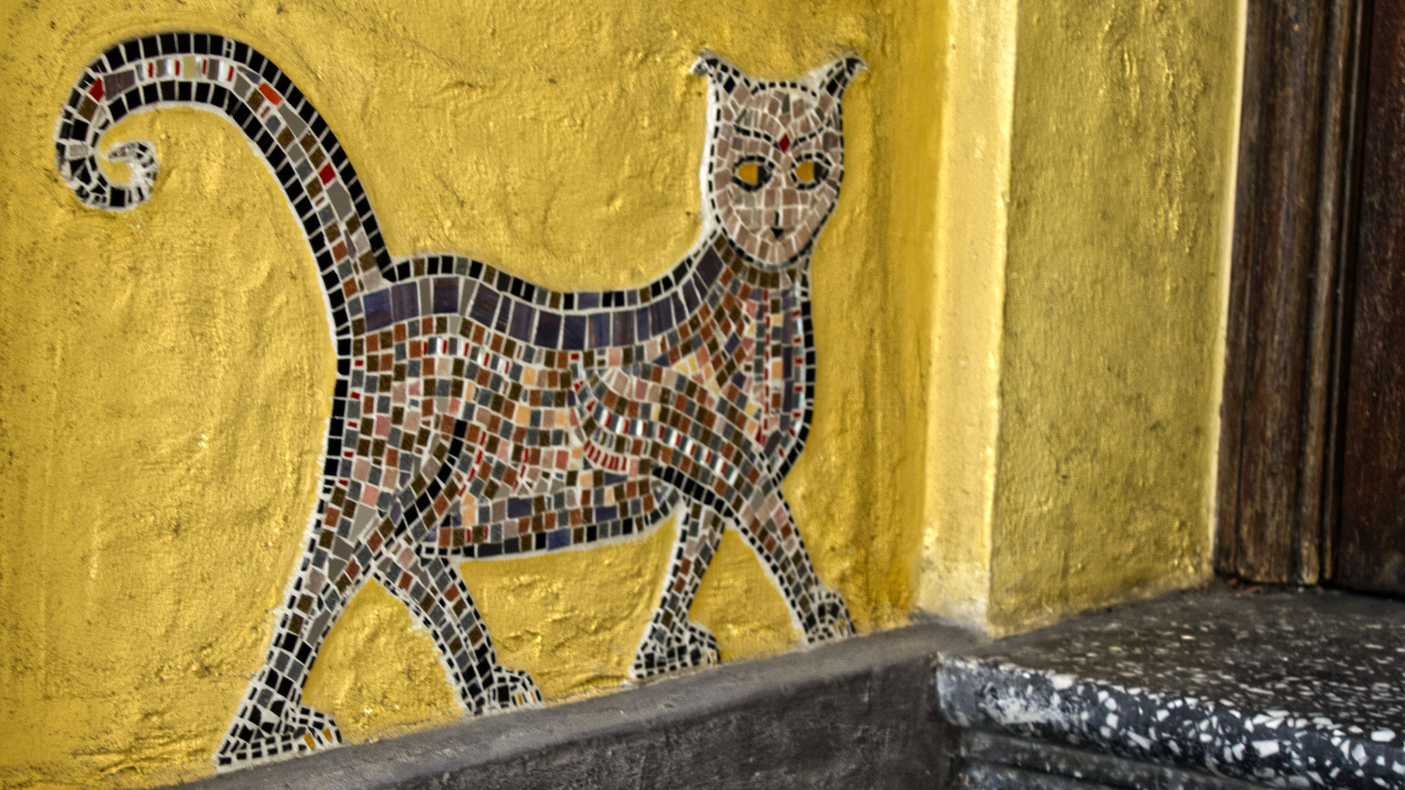 Tiled cat in a house entryway